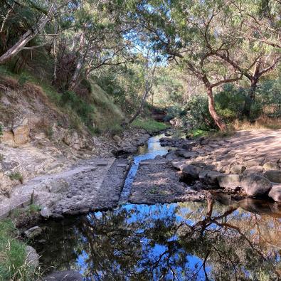 Concrete crossing at Darebin Creek, Darebin Parklands, before works