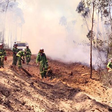 Crew of firefighters conduct backburning in catchment area