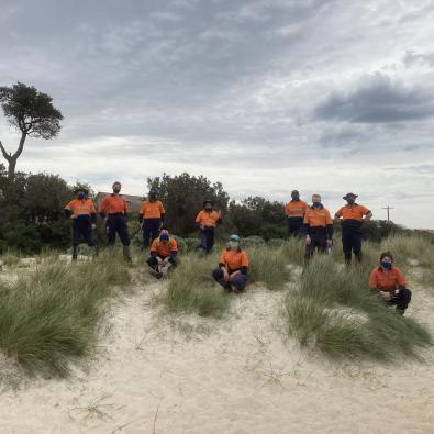 Bay planting crews
