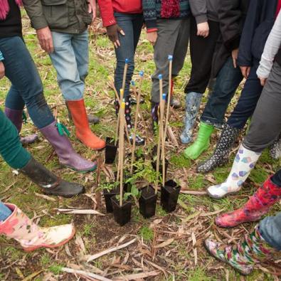 Group of Landcare volunteers standing in a circle around a collection of seedlings