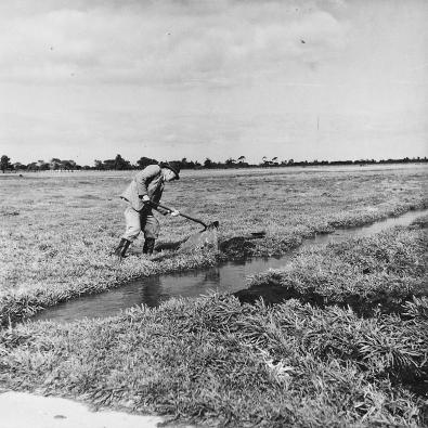 Black and white photo of a man in a field, next to a canal