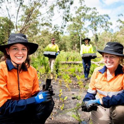 Four PPWCMA employees undertake planting at the Yellingbo Nature Conservation Reserve