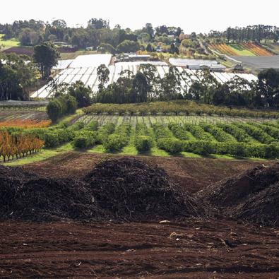 Agricultural property