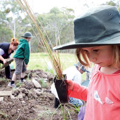 Planting with the community, young girl in foreground holding a seedling