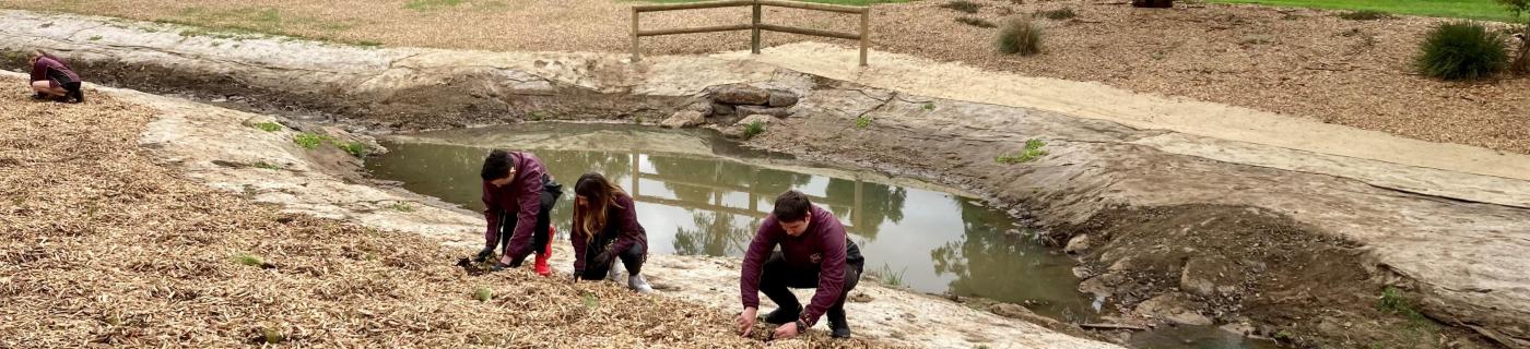 Students from Wallan Secondary College have rolled up their sleeves to help Melbourne Water plant native trees and shrubs at Hadfield Park