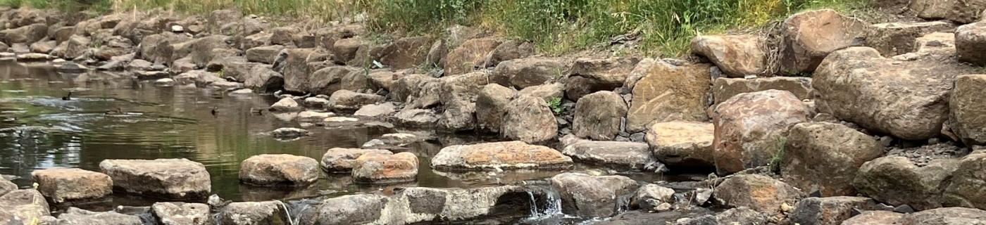 Moonee Ponds Creek with stepping stones