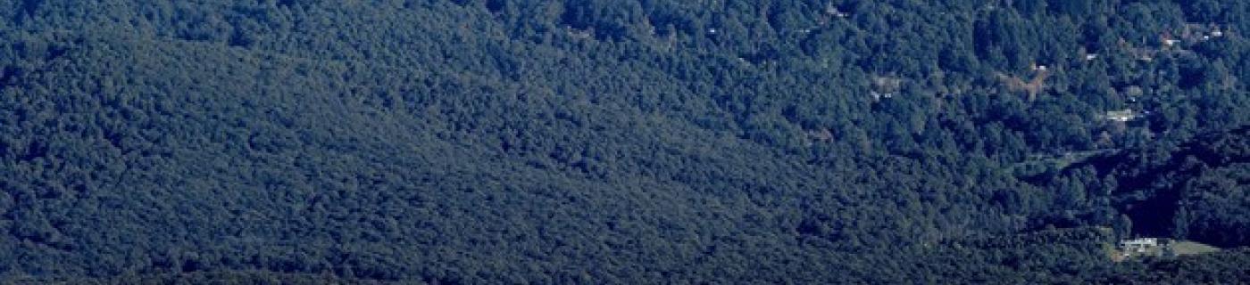 Aerial shots of Silvan Reservoir