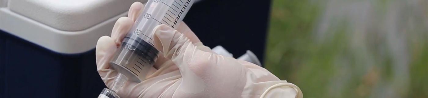 Close up of gloved hands using a syringe to collect water samples from a river.