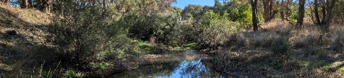 Deep Creek after watering