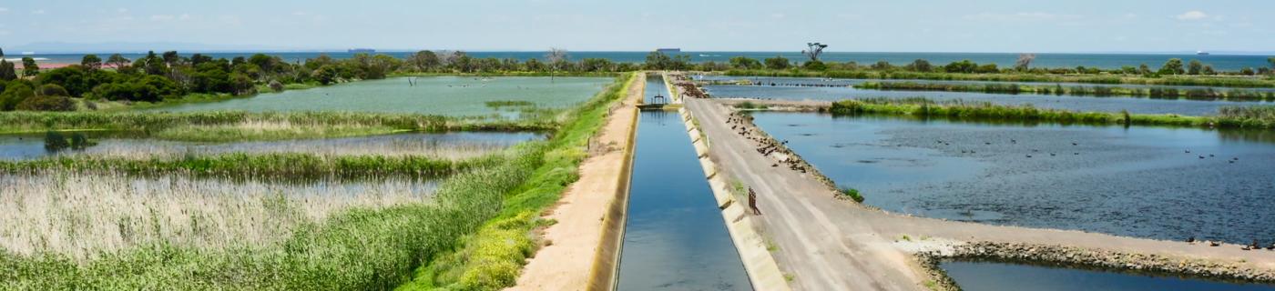 lagoon at Western Treatment Plant