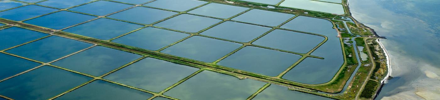 Western Treatment Plant lagoons