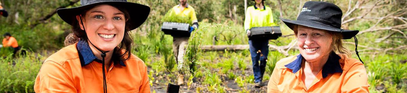 Four PPWCMA employees undertake planting at the Yellingbo Nature Conservation Reserve