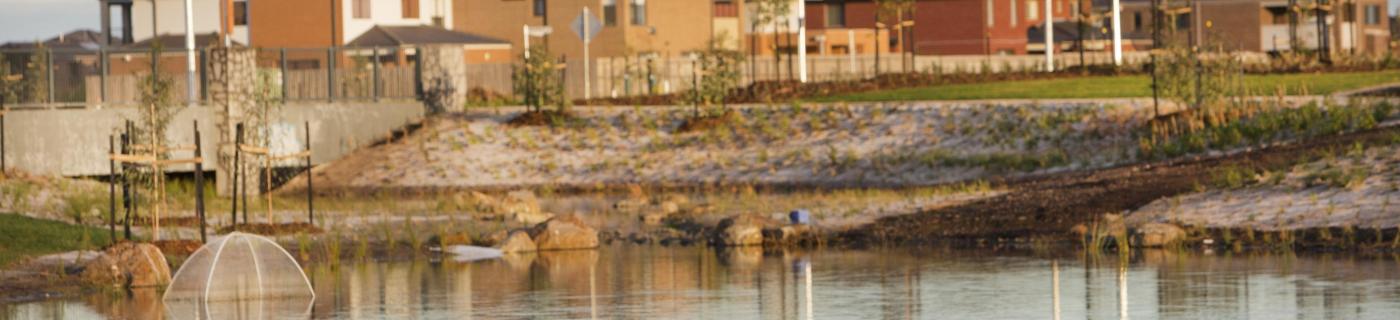 Housing development