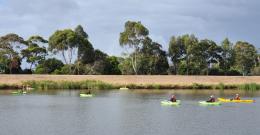 Paddle for Patterson