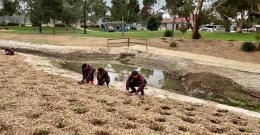Students from Wallan Secondary College have rolled up their sleeves to help Melbourne Water plant native trees and shrubs at Hadfield Park