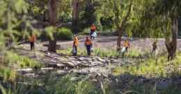 Melbourne Water employees maintaining Blind Creek