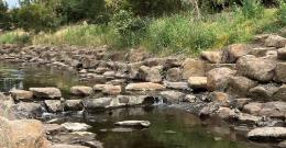 Moonee Ponds Creek with stepping stones