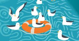 Animated image of seagulls with a lifbuoy ring in water