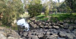 View of Gardiners Creek