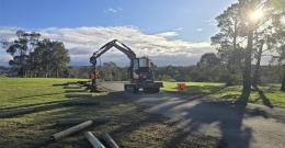 Greenwale works