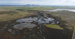 Melbourne Water helps revegetate and rejuvenate the Ramsar wetlands