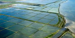 Western Treatment Plant lagoons