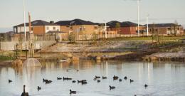 Housing development