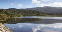 Reservoir landscape