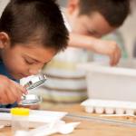 Child with microscope identifying waterbugs