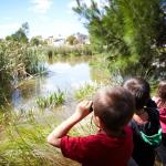 Kids looking for frogs