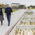 Stormwater system at Pilot Park