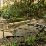 View of Badger Creek Weir in the forested Maroondah catchment