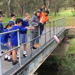 Litter Trackers Merri Creek