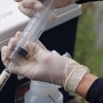 Close up of gloved hands using a syringe to collect water samples from a river.