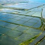 Lagoons at the Western Treatment Plant