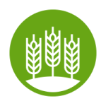 Icon of wheat field
