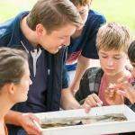 Children looking at waterbug samples