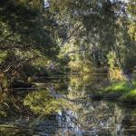 View of Werribee River