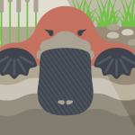 Illustration of platypus