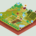 Cross-section of farm