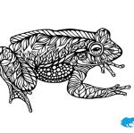 growling grass frog colouring sheet