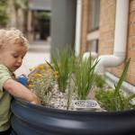 Young child exploring planter-box raingarden
