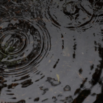 Water pooling, raindrops forming circles in water