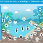Waterbugs in Melbourne's waterways map