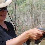 Woman examining freshwater turtle