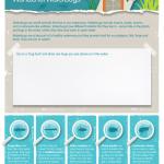 Wonderful waterbugs activity sheet