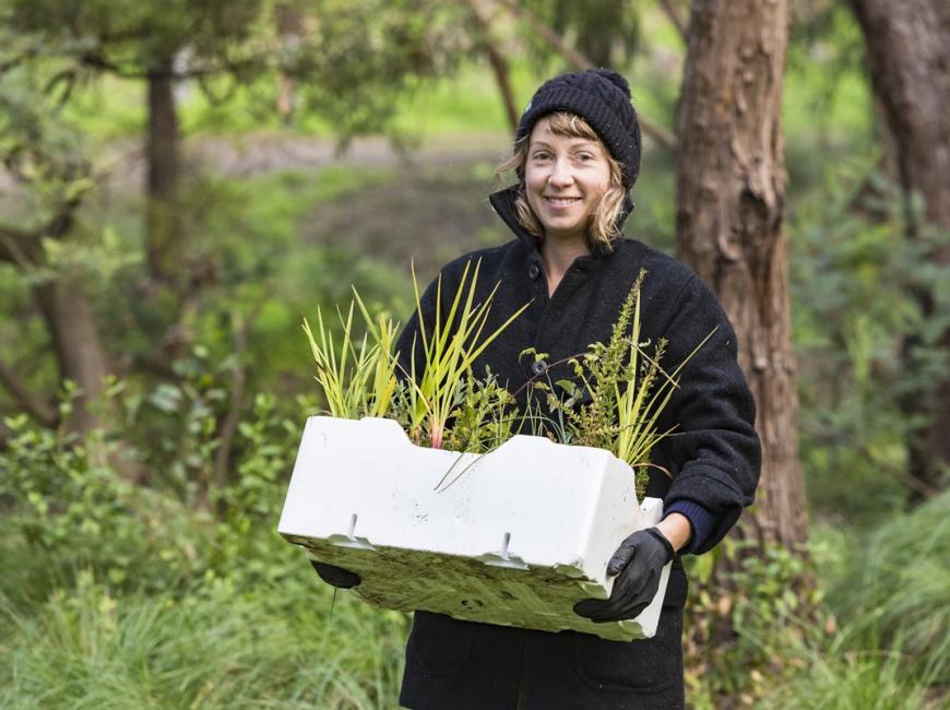 person carrying seedlings