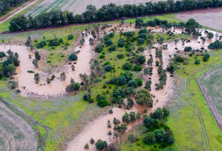 Flooded river winds through agricultural land