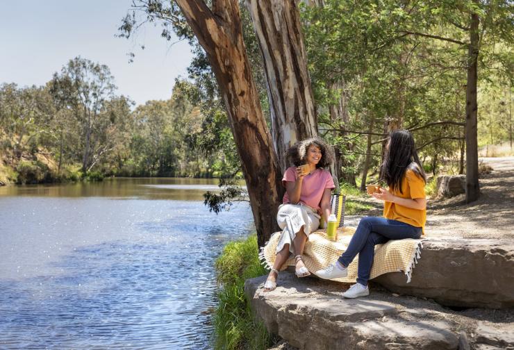 People having picnic at Dights Falls.