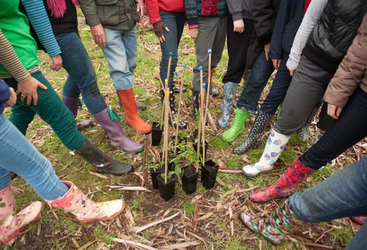 Group of Landcare volunteers standing in a circle around a collection of seedlings